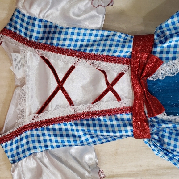Kids Wizard of Oz Glitter Dorothy Costume- Wizard of Oz Size Small - Picture 5 of 9